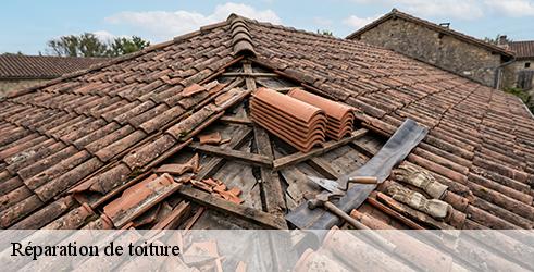reparation-de-toiture-tanguy-toiture-facade-3