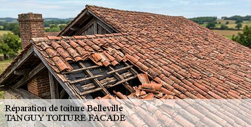 reparation-de-toiture-tanguy-toiture-facade-7