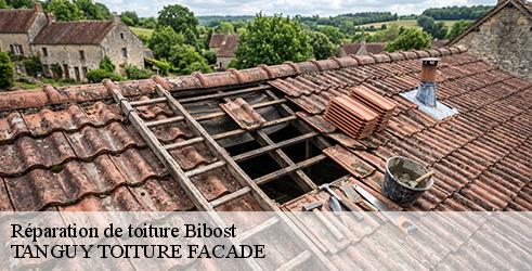 reparation-de-toiture-tanguy-toiture-facade-1