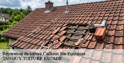 reparation-de-toiture-tanguy-toiture-facade-10