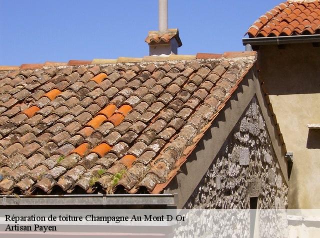 Réparation de toiture  champagne-au-mont-d-or-69410 Artisan Payen