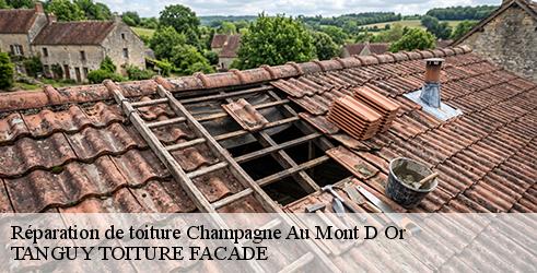 reparation-de-toiture-tanguy-toiture-facade-1
