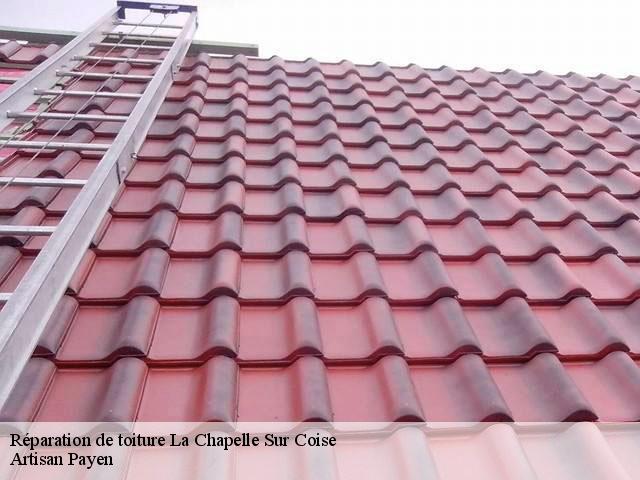 Réparation de toiture  la-chapelle-sur-coise-69590 Artisan Payen