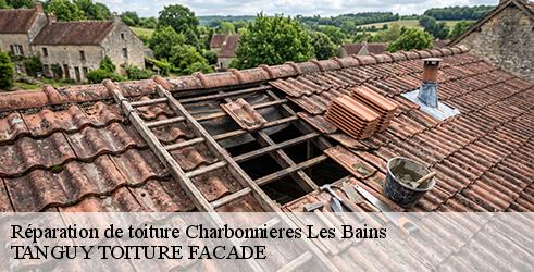 reparation-de-toiture-tanguy-toiture-facade-1