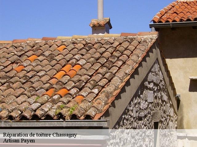 Réparation de toiture  chassagny-69700 Artisan Payen