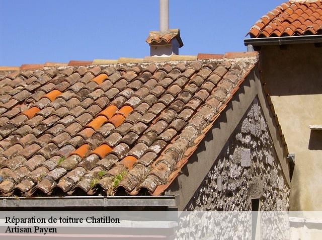 Réparation de toiture  chatillon-69380 Artisan Payen