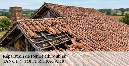 reparation-de-toiture-tanguy-toiture-facade-7