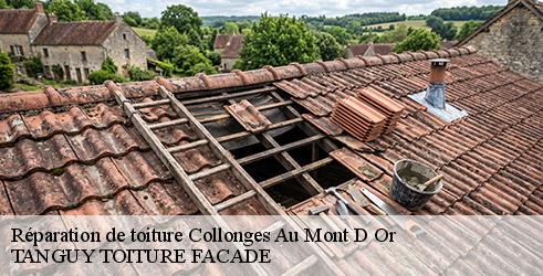 reparation-de-toiture-tanguy-toiture-facade-1