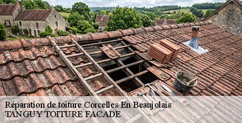 reparation-de-toiture-tanguy-toiture-facade-1