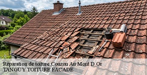 reparation-de-toiture-tanguy-toiture-facade-10