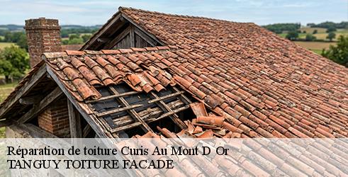reparation-de-toiture-tanguy-toiture-facade-7