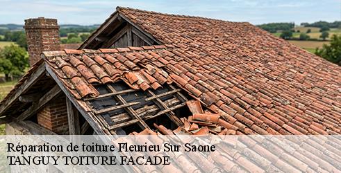 reparation-de-toiture-tanguy-toiture-facade-7