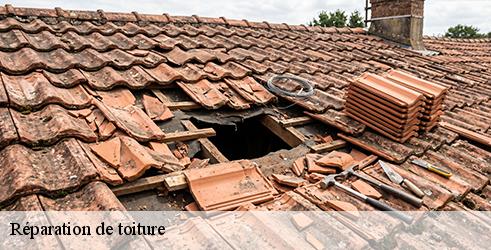 reparation-de-toiture-tanguy-toiture-facade-9