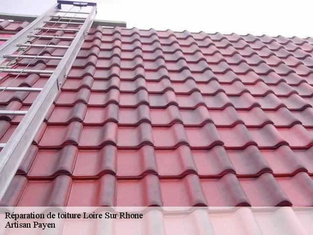 Réparation de toiture  loire-sur-rhone-69700 Artisan Payen