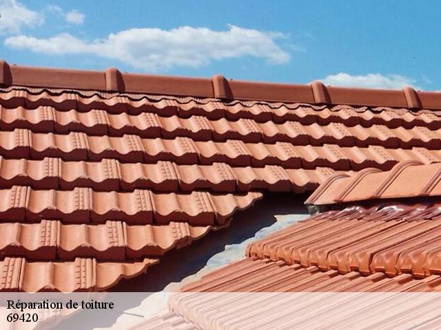 Réparation de toiture  longes-69420 Artisan Payen