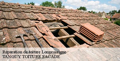 reparation-de-toiture-tanguy-toiture-facade-4