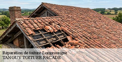 reparation-de-toiture-tanguy-toiture-facade-7