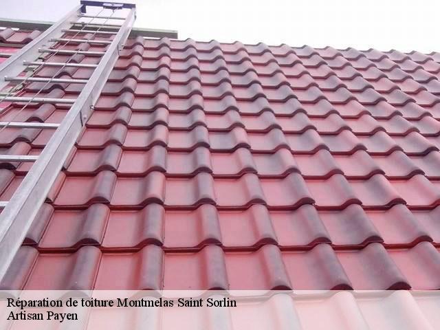 Réparation de toiture  montmelas-saint-sorlin-69640 Artisan Payen