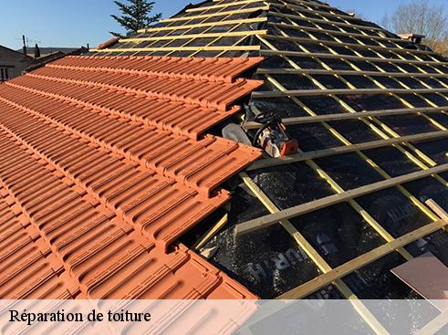 Réparation de toiture quincieux-69650 BOUNACH Couverture