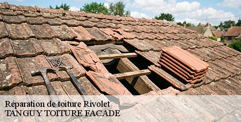 reparation-de-toiture-tanguy-toiture-facade-4