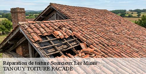 reparation-de-toiture-tanguy-toiture-facade-7