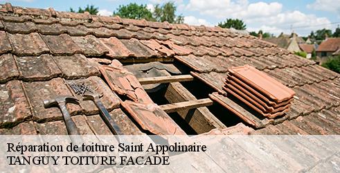 reparation-de-toiture-tanguy-toiture-facade-4