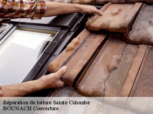 Réparation de toiture sainte-colombe-69560 BOUNACH Couverture