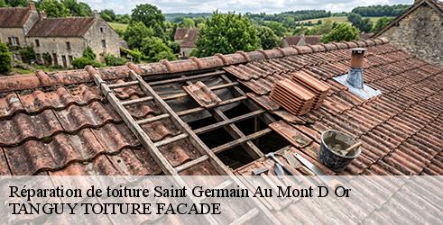 reparation-de-toiture-tanguy-toiture-facade-1