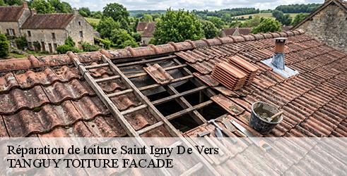 reparation-de-toiture-tanguy-toiture-facade-1