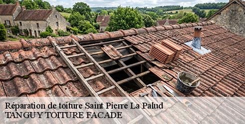 reparation-de-toiture-tanguy-toiture-facade-1