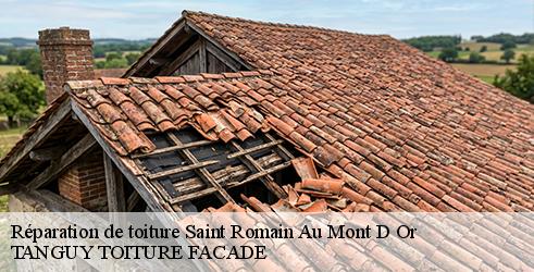 reparation-de-toiture-tanguy-toiture-facade-7