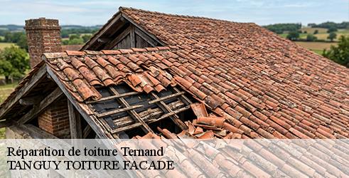reparation-de-toiture-tanguy-toiture-facade-7