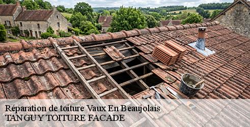 reparation-de-toiture-tanguy-toiture-facade-1