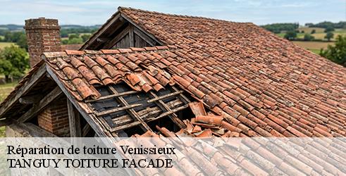 reparation-de-toiture-tanguy-toiture-facade-7