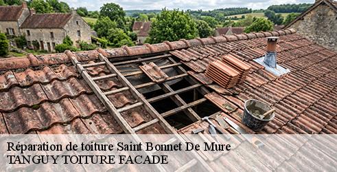 reparation-de-toiture-tanguy-toiture-facade-1