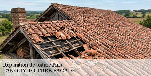 reparation-de-toiture-tanguy-toiture-facade-7