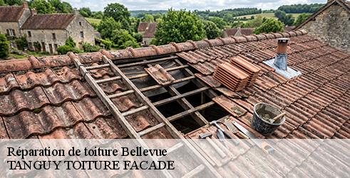 reparation-de-toiture-tanguy-toiture-facade-1