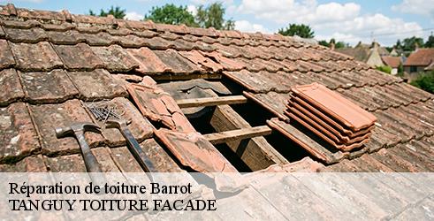 reparation-de-toiture-tanguy-toiture-facade-4