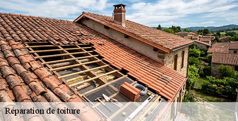 reparation-de-toiture-tanguy-toiture-facade-6