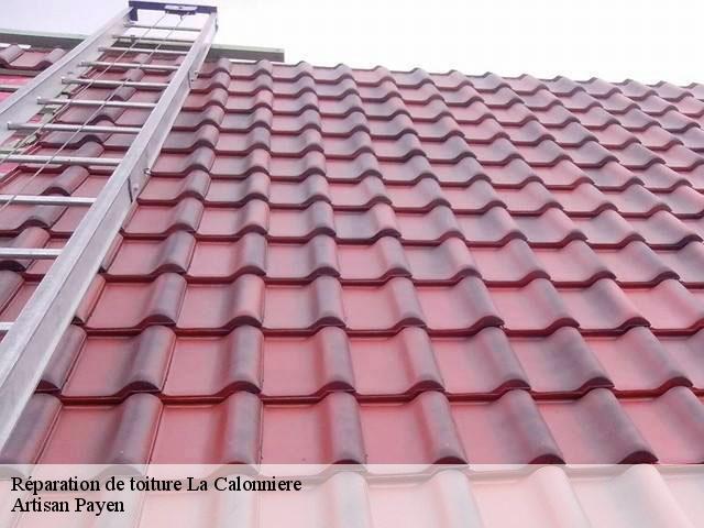 Réparation de toiture  la-calonniere-69690 Artisan Payen