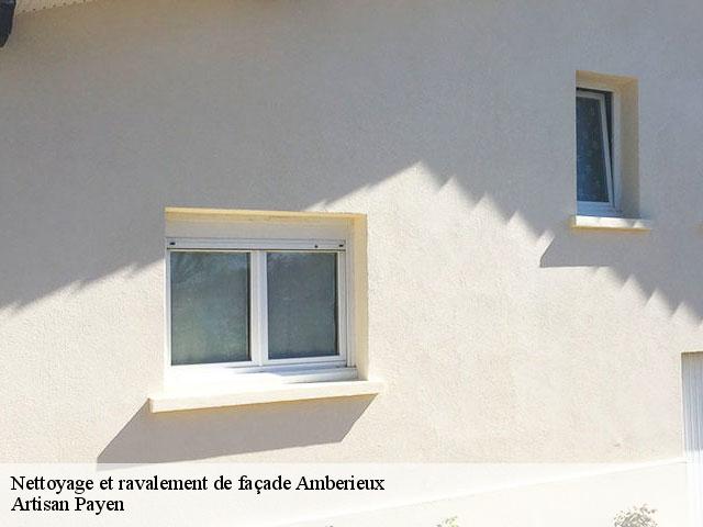 Nettoyage et ravalement de façade  amberieux-69480 Artisan Payen