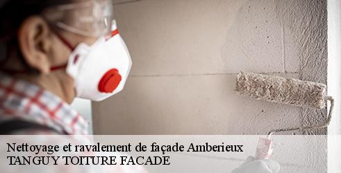 nettoyage-et-ravalement-de-facade-tanguy-toiture-facade-10