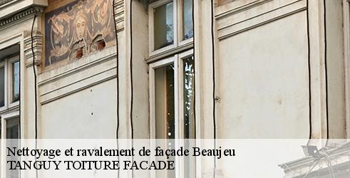 nettoyage-et-ravalement-de-facade-tanguy-toiture-facade-4
