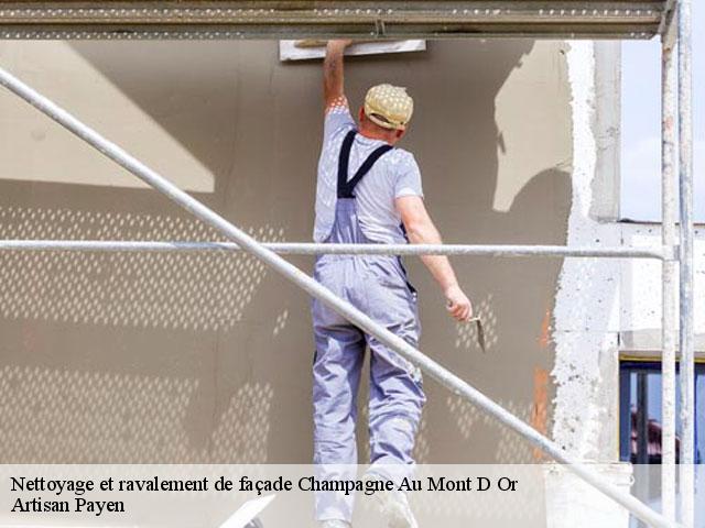 Nettoyage et ravalement de façade  champagne-au-mont-d-or-69410 Artisan Payen