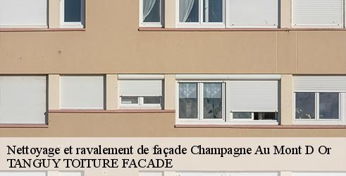 nettoyage-et-ravalement-de-facade-tanguy-toiture-facade-1