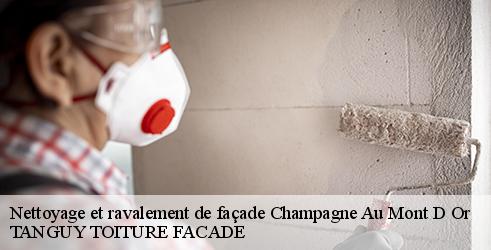 nettoyage-et-ravalement-de-facade-tanguy-toiture-facade-10