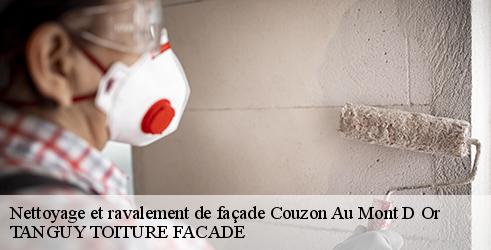 nettoyage-et-ravalement-de-facade-tanguy-toiture-facade-10