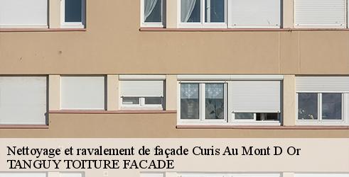 nettoyage-et-ravalement-de-facade-tanguy-toiture-facade-1