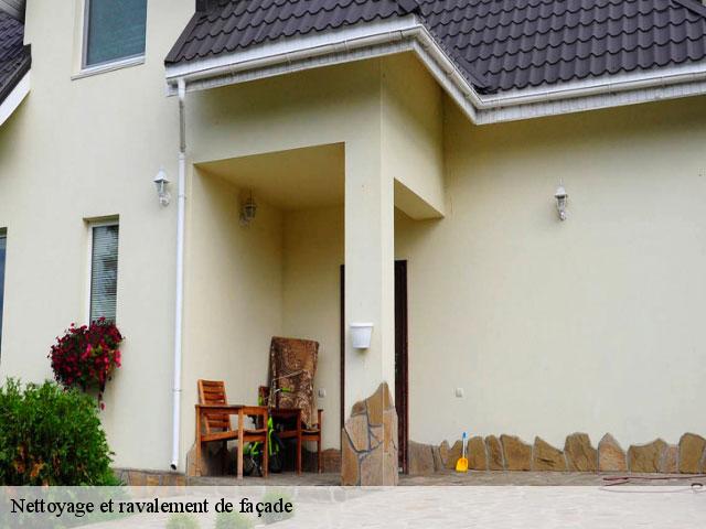 Nettoyage et ravalement de façade  neuville-sur-saone-69250 Artisan Payen