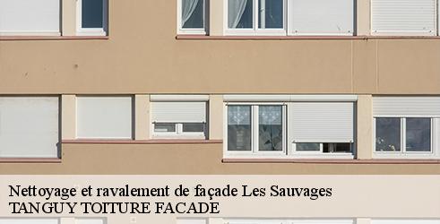 nettoyage-et-ravalement-de-facade-tanguy-toiture-facade-1